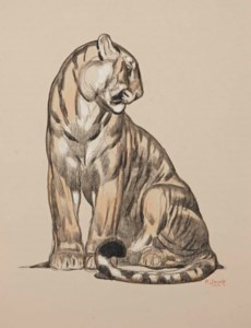 'TIGRE ASSIS', VERS 1930