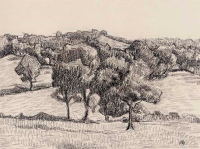 Near Bolham