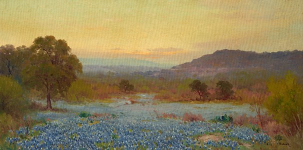 Bluebonnet Hill Country