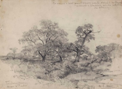 Trees by the Mare à Piat in the Fontainebleau forest
