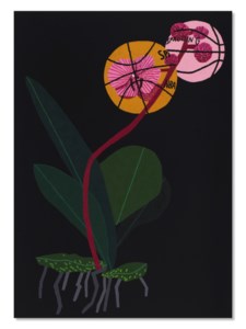 Jonas Wood, Mini Purple Bball Orchid