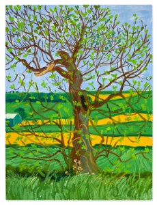 David Hockney, Woldgate Tree, May