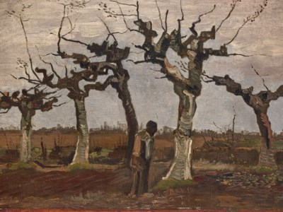 Van Gogh, Knotberken