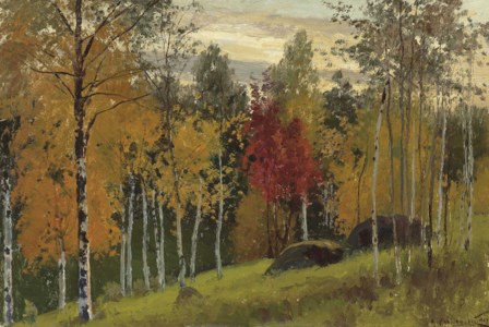 Autumnal forest