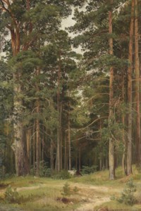 A summer day, Merikiul'