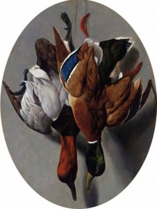 Canvasback and Mallard