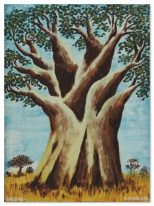 Baobab