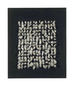 Witte Veertjes op Zwart (White Feathers on Black)