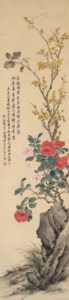 Camellia and Prunus
