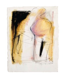 Torso