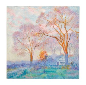 Elms at Sunrise