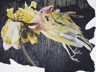 A Bird in Cloud Country