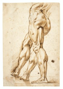 Sir Peter Paul Rubens, An écorché study of the legs of a male nude, with a study of the right leg (recto); Sketch of the muscle of a leg (verso)
