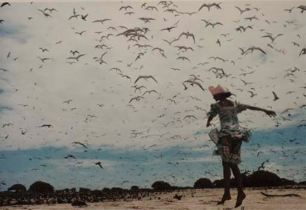Appolonia van Ravenstein, Bird Island, Seychelles, 1971