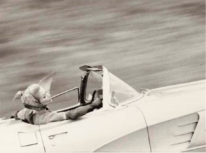 Touch of Dew, Lisa Fonssagrives, Harper's Bazaar, New York, 1961