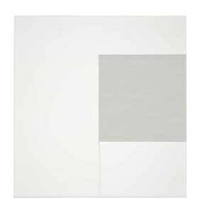 Exposed Painting Light Grey on White