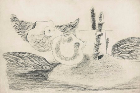 The visitors