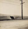 road, and telephone lines