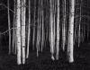 comprising of 3 landscapes, 2 time exposures, one interior, and one facade