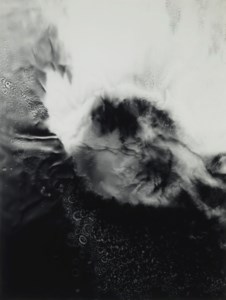 Untitled, 1988