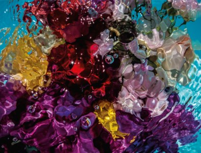 Flower in Water, 7931, 2012