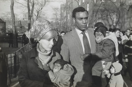 Central Park Zoo, 1967