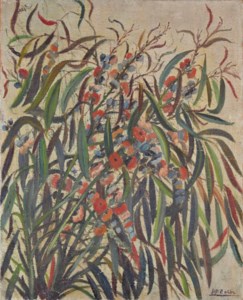 Eucalyptus