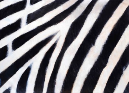 Zebra Copy Card