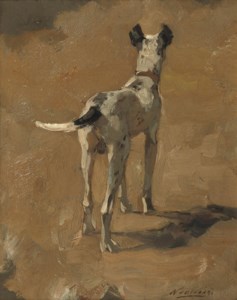 Studie van een hond