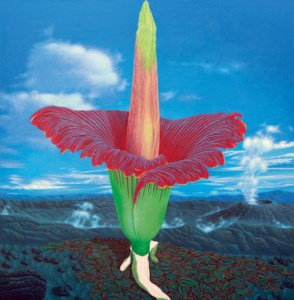 Titan Arum
