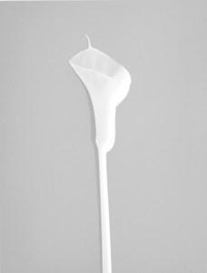 Calla, 1998