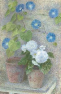 Ipomea and Begonia