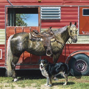Red Rider II with Border Collie