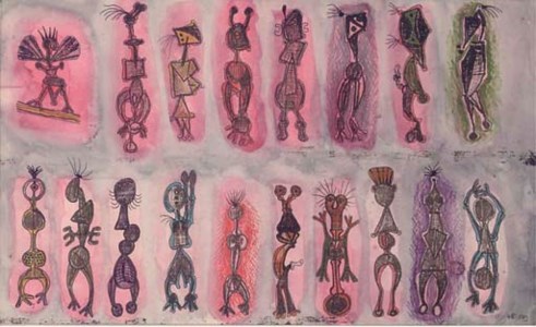 Comparative Anatomy