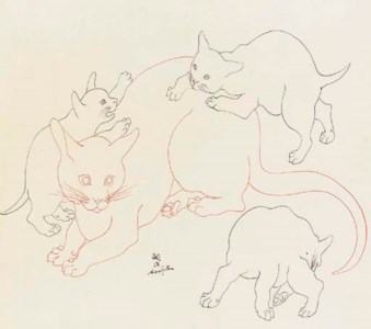 Chatte et châtons
