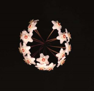 Porcelain Flower