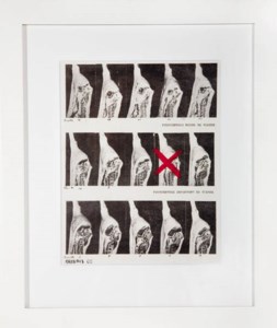 PSYCHO-COLLAGE VIANDE