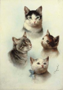 Cute cats