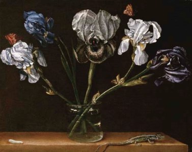 Irises in a glass jar, a lizard and a caterpillar on a tabletop