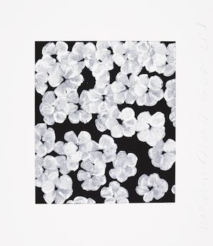 Donald Sultan (born 1951); Wallflower 8, from Wallflowers Suite;