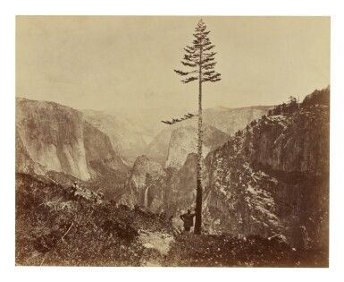 Selected Images