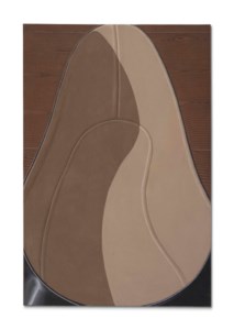 Inside of Lady's Shoe