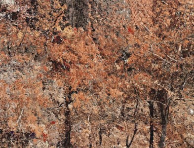 Milas Forest In Fire