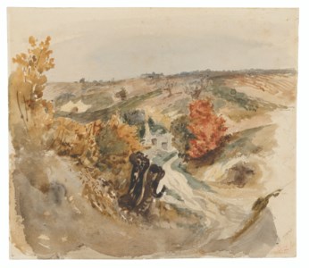 Vineyards by a track and a farmhouse on a hill