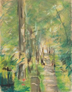 Birkenallee im Wannseegarten