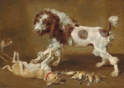 Three dogs playing, with songbirds on the floor