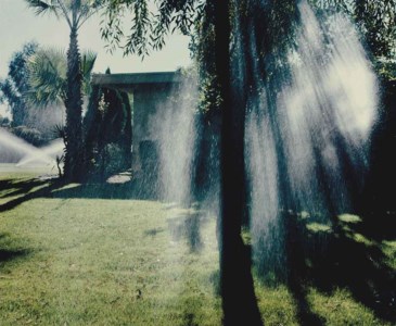 Untitled, 1988