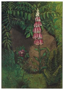 Foxglove and rose