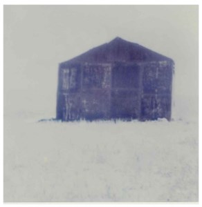 Untitled (from the series Outside), 1990