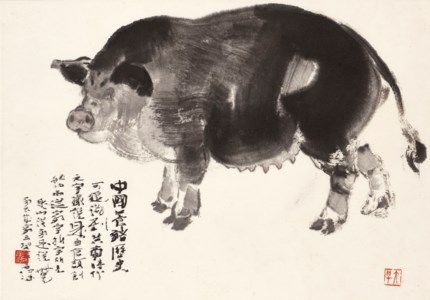 Black Pig